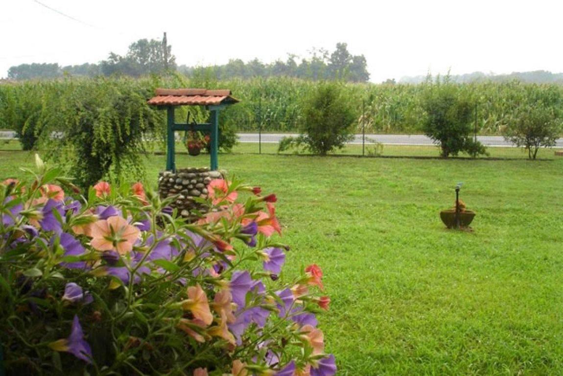 Agriturismo La Biandrina Carpignano Sesia Extérieur photo
